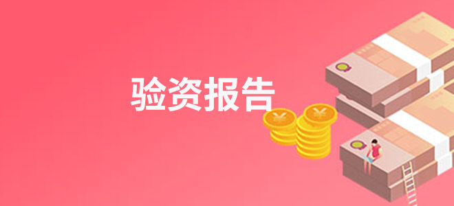 验资报告